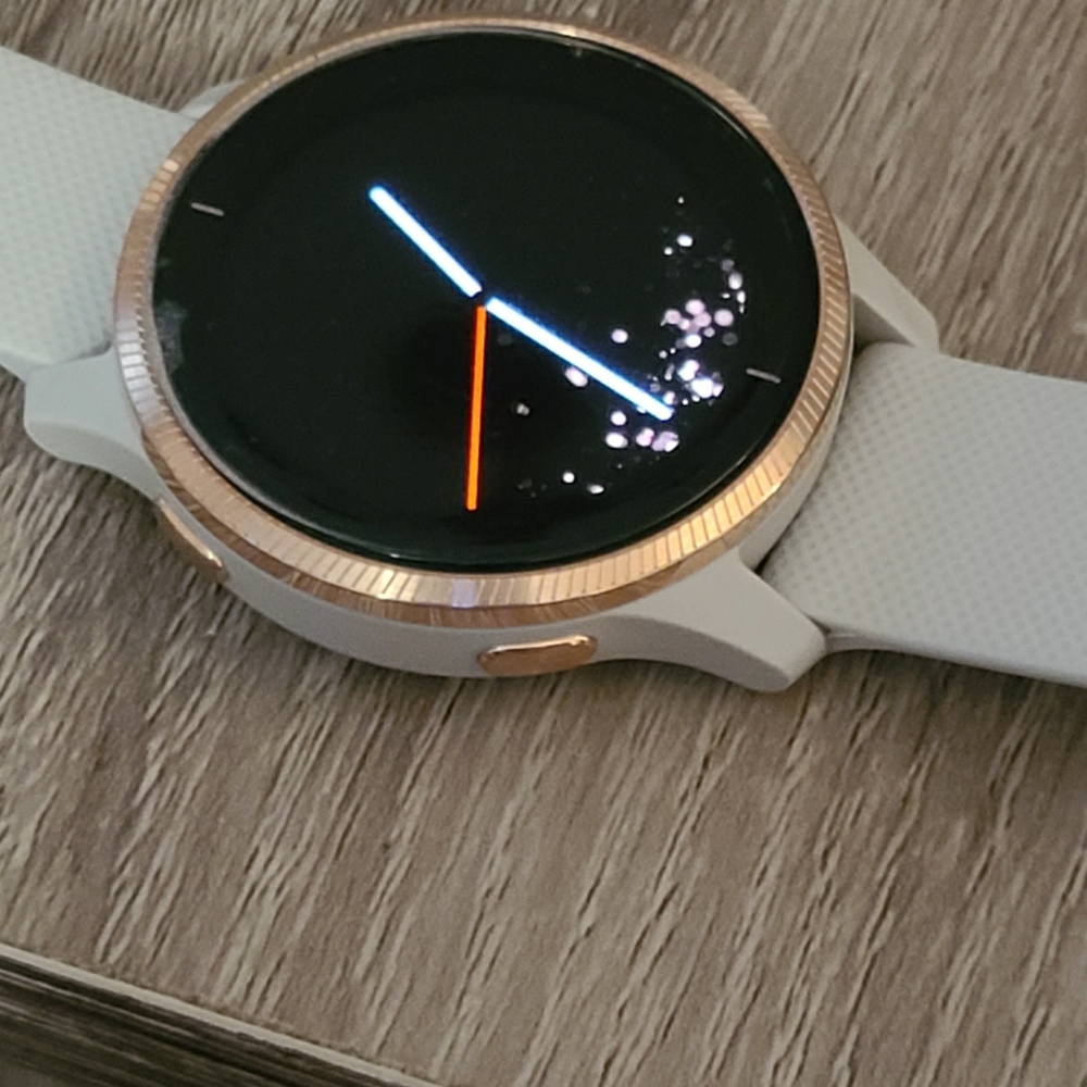Garmin Venu smart Watch